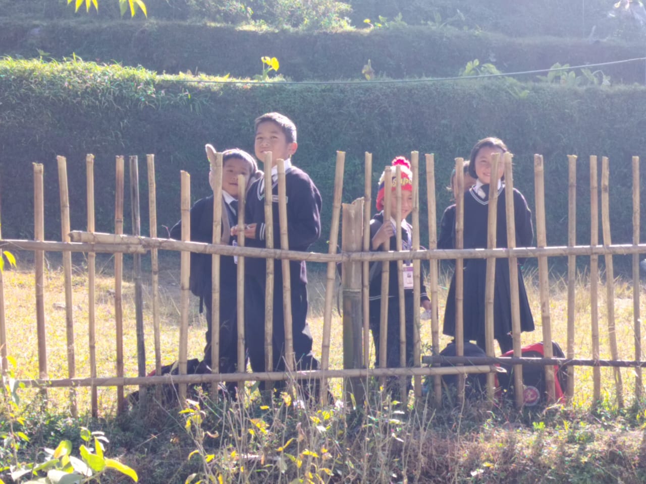 Govt. Primary School Dokchen